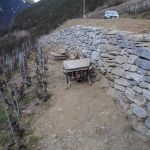 vignoble bovernier